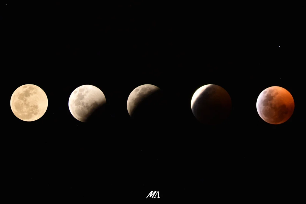 DSC_0289Lunas